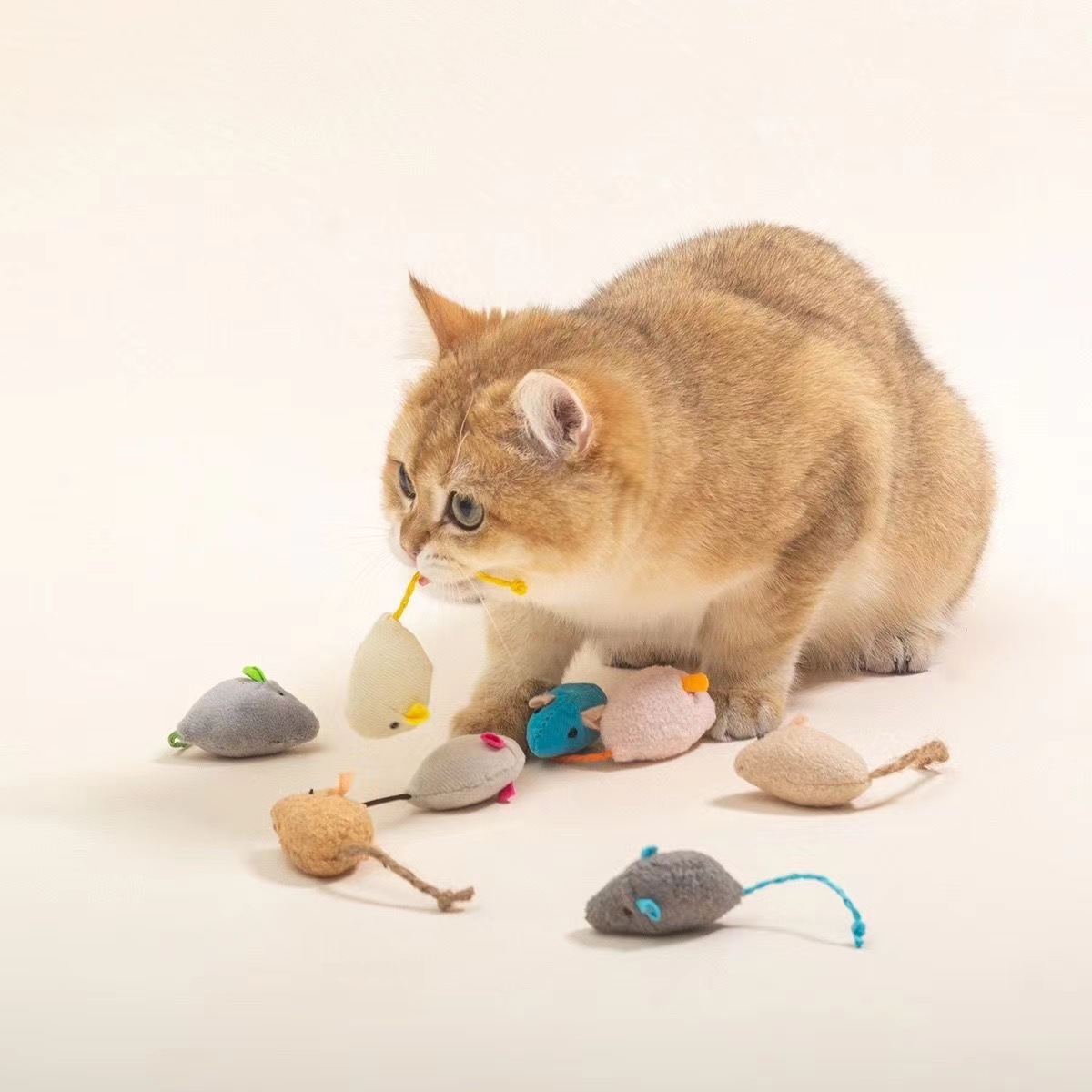 Catnip Plush Mouse Toy Assortment