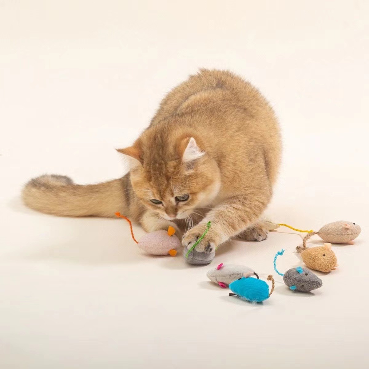 Catnip Plush Mouse Toy Assortment