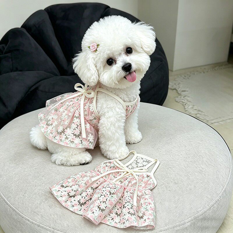 Cherry Blossom Mesh Pet Dress
