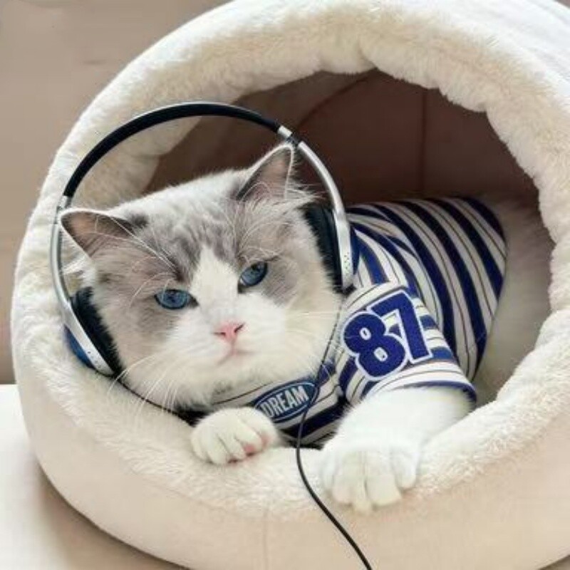 Blue Stripe Short-Sleeve Pet Tee