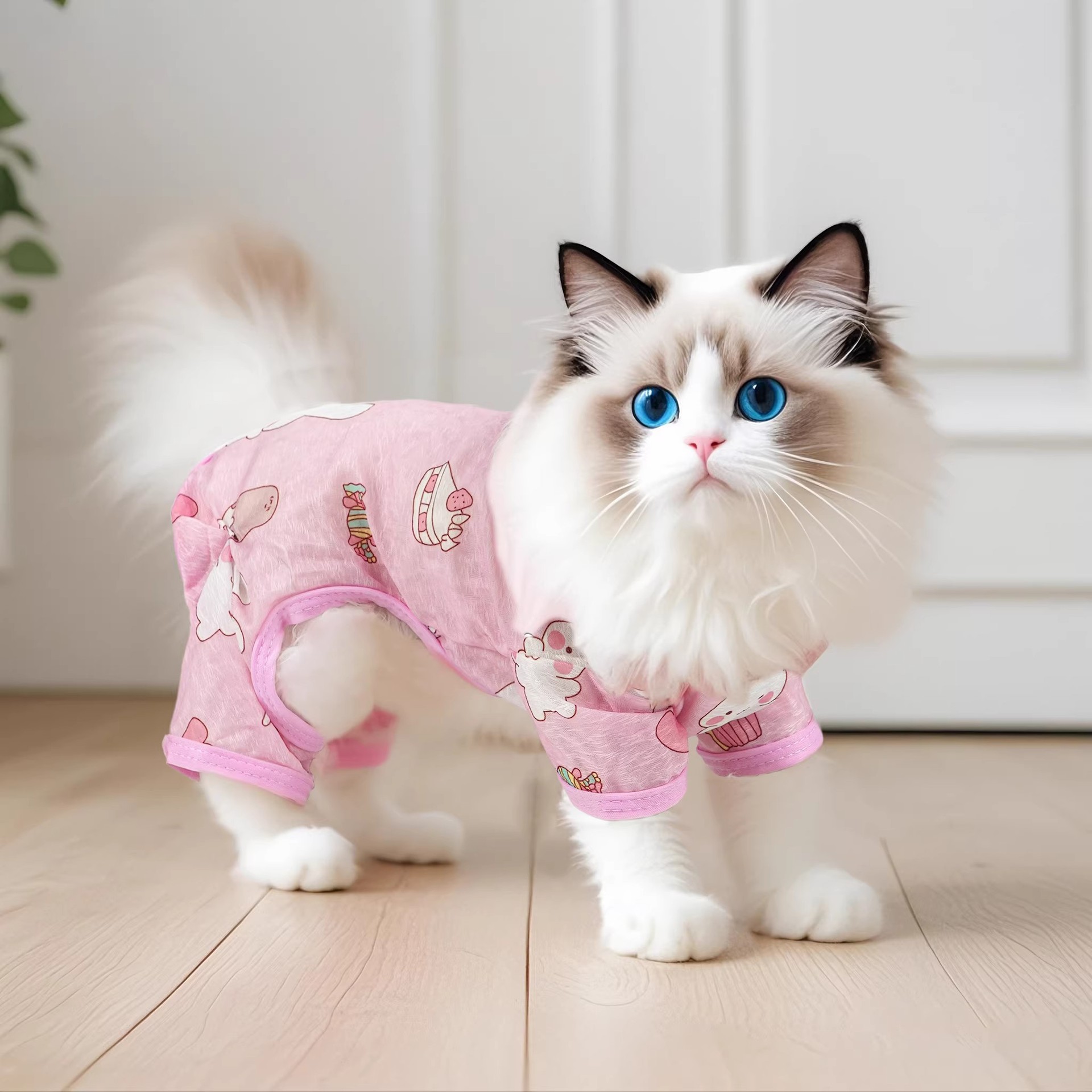 Summer Mesh Four-Leg Cat Suit