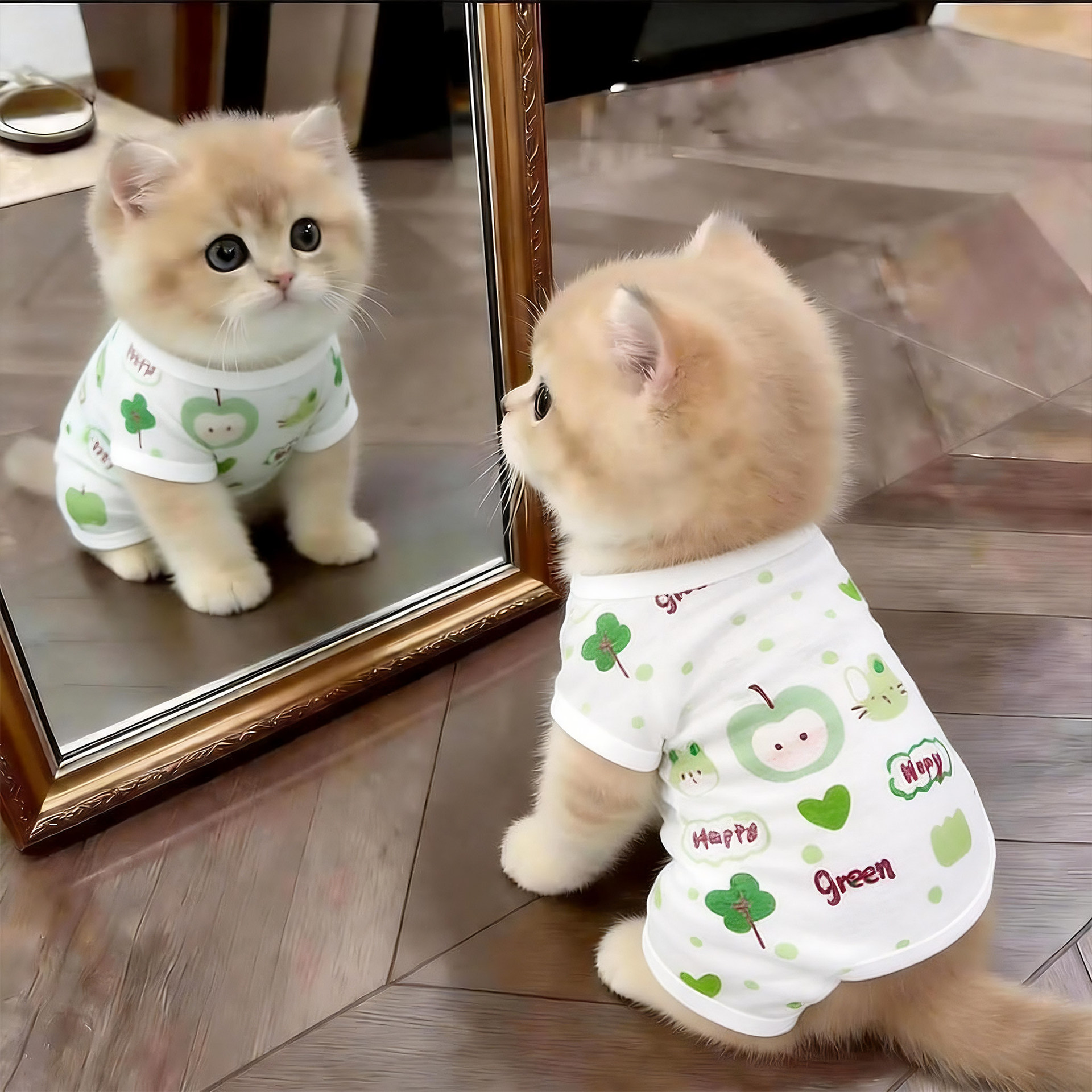 Summer Mesh Four-Leg Cat Suit