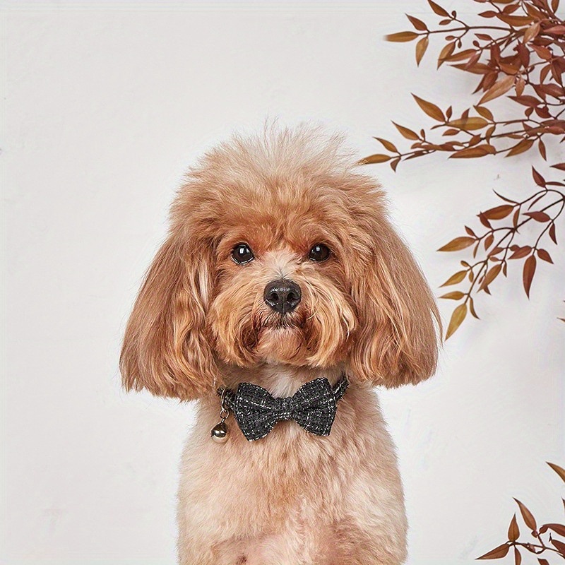 Tweed Bowtie Bell Pet Collar