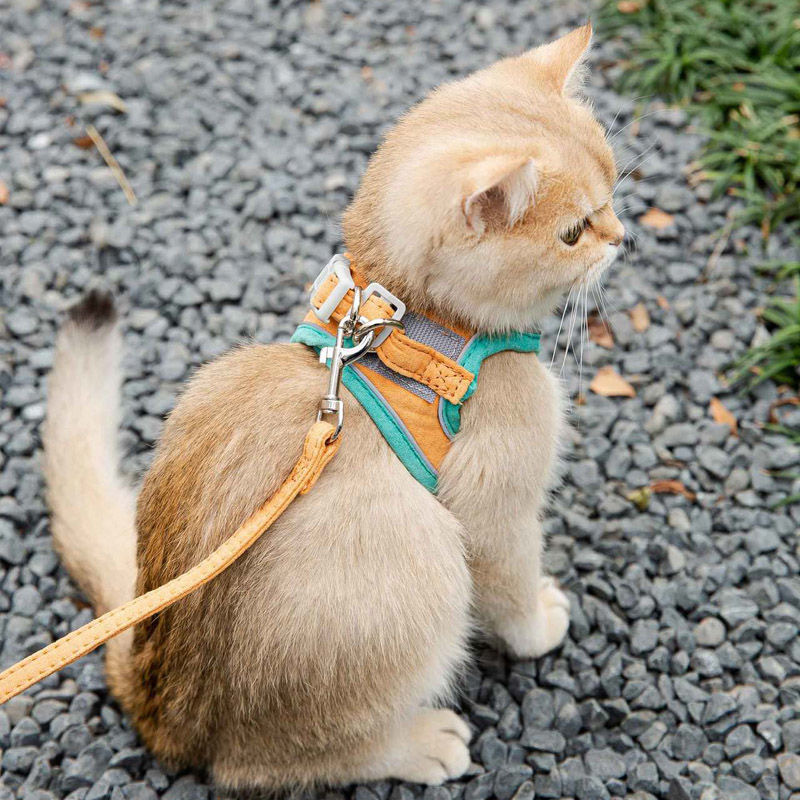 Reflective Vest-Style Cat Harness & Leash
