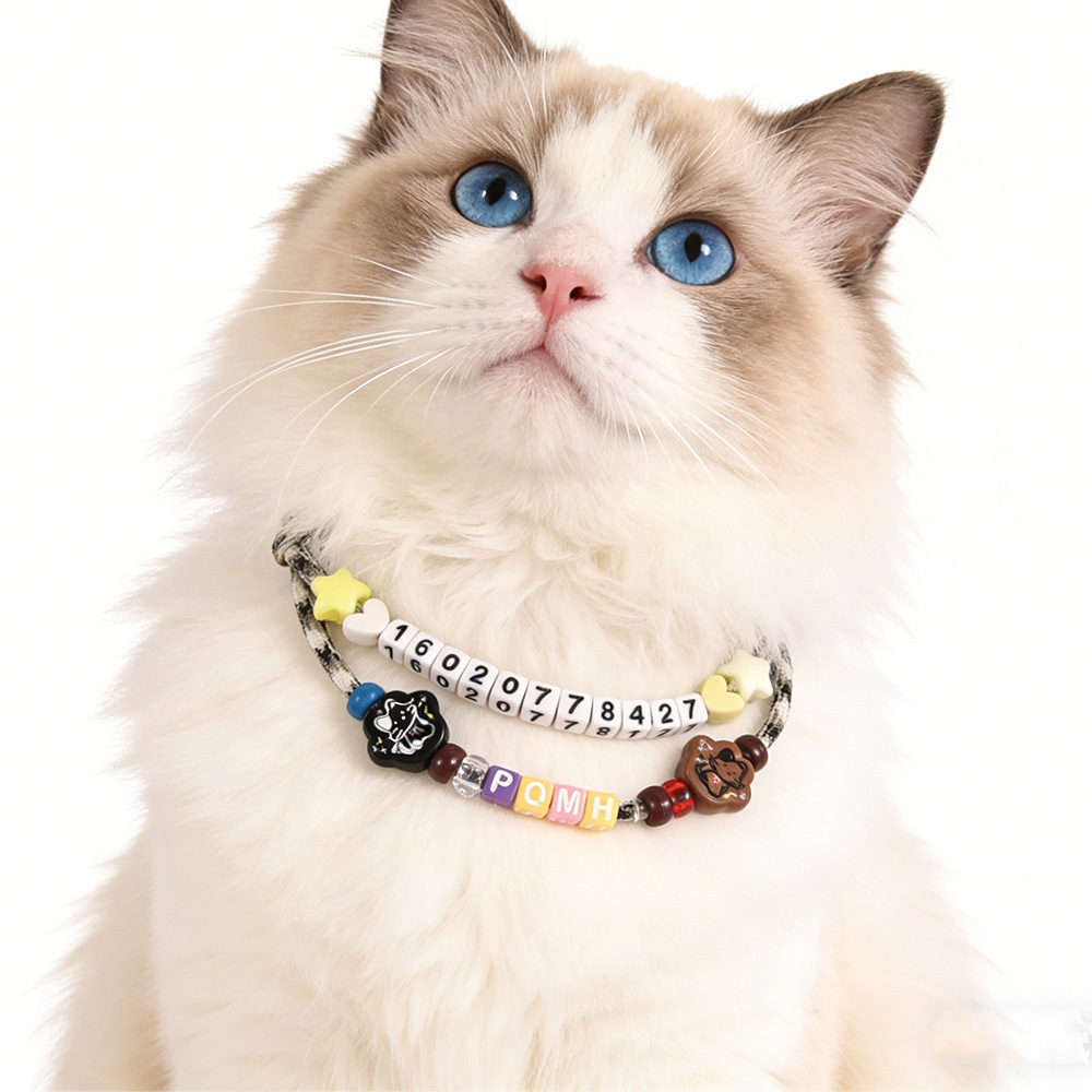 DIY Letter Bead Pet ID Collar Kit